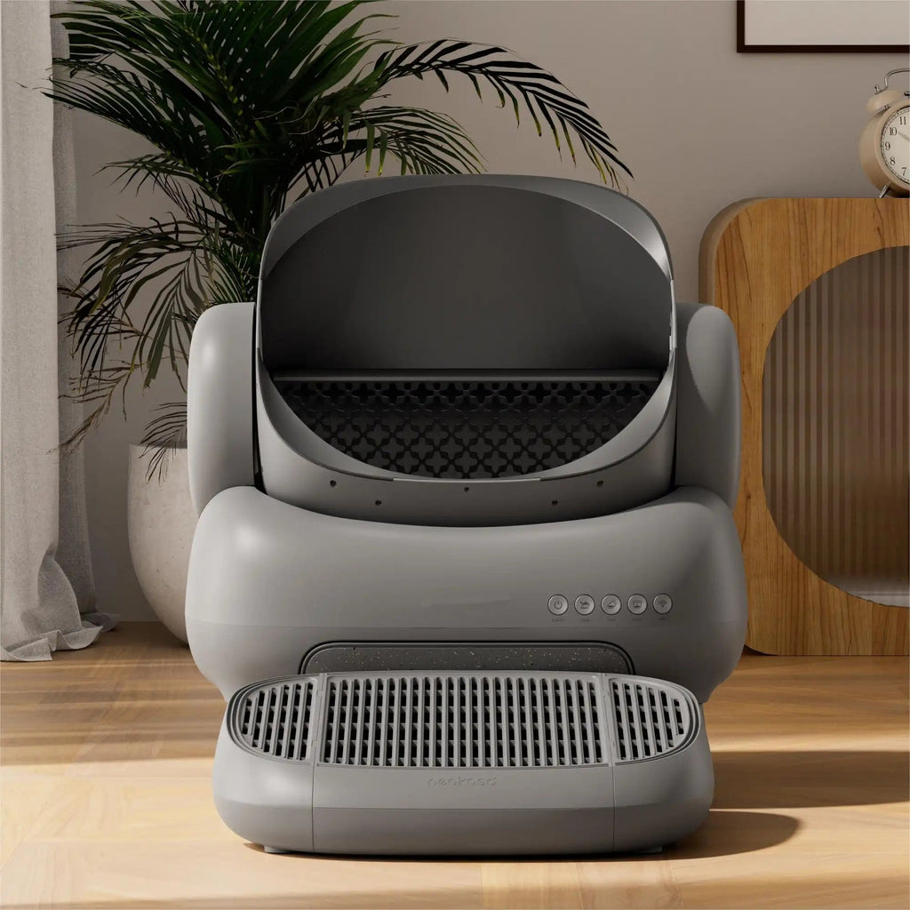 Open-Top Self Cleaning Cat Litter Box